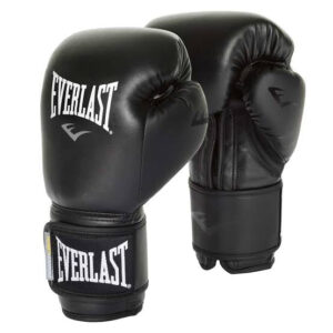 Everlast Boxing Gloves