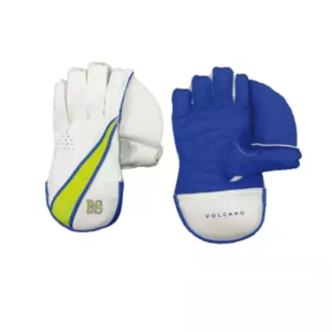 B&S Wicket Keeper Gloves